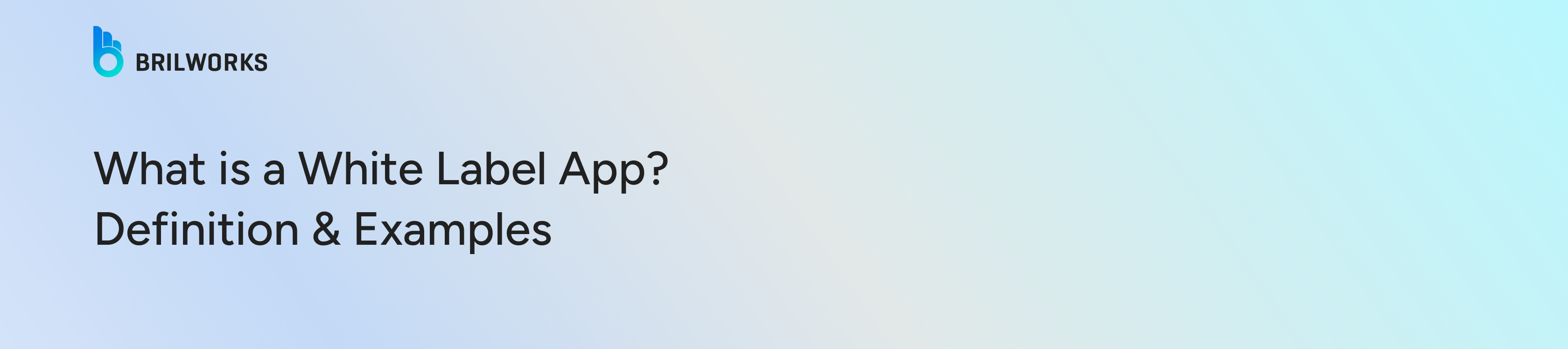 Banner Image  What is a White Label App Definition  Examples