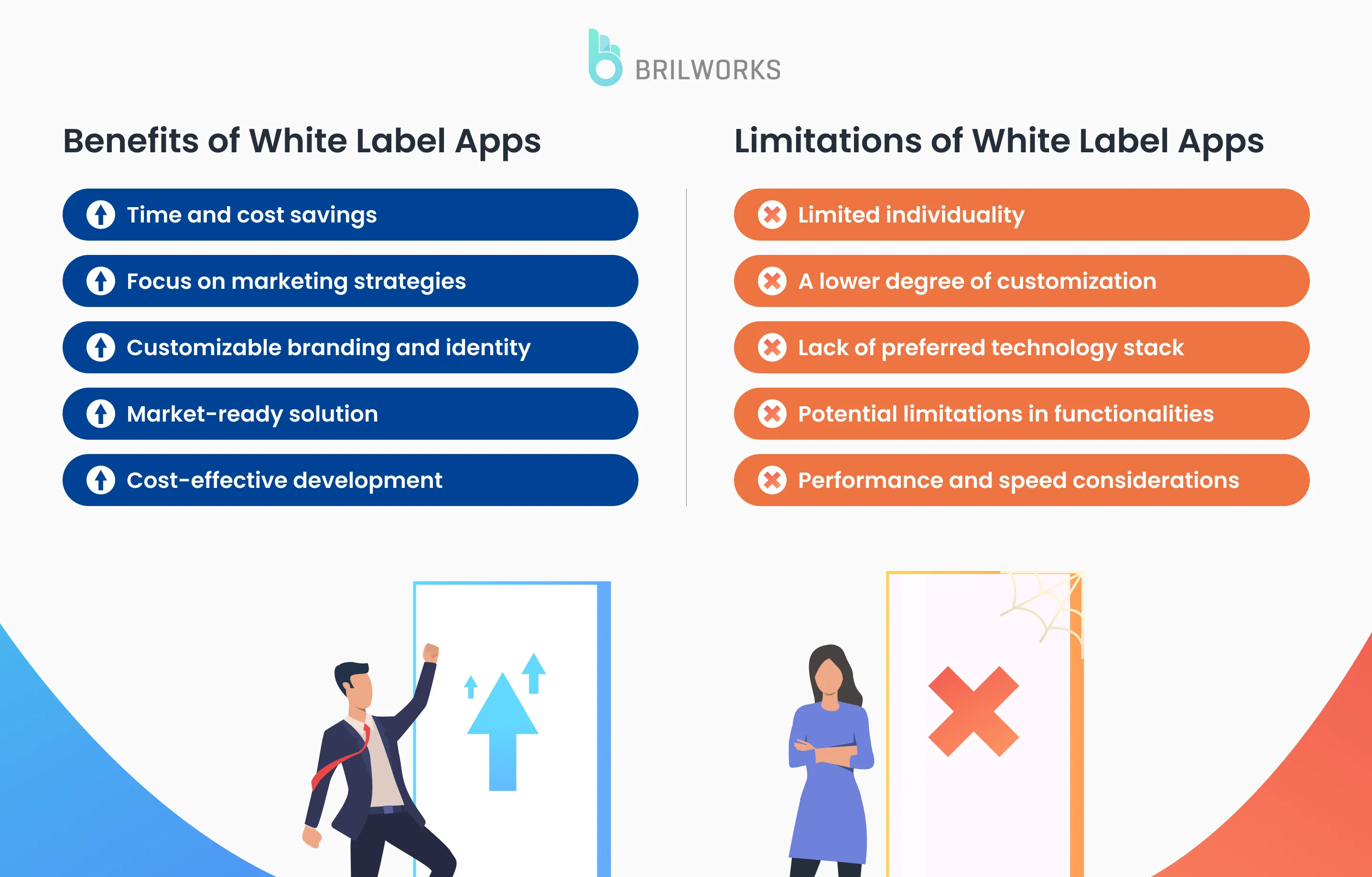 benefits and limitations of white label application development