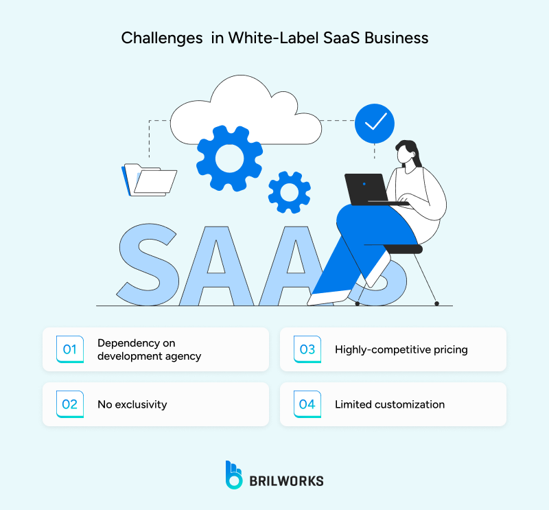 Challenges in White label SaaS development