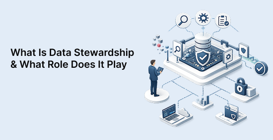 What-Is-Data-Stewardship-&-What-Role-Does-It-Play-banner-image