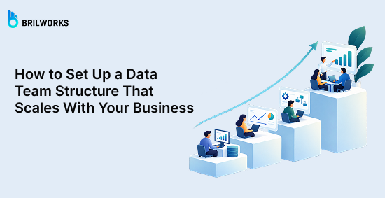 How-to-Set-Up-a-Data-Team-Structure-That-Scales-With-Your-Business-banner-image