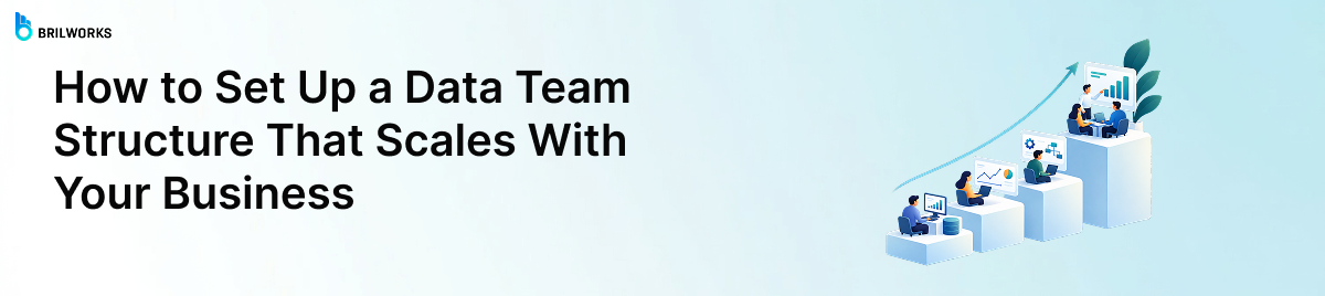 How-to-Set-Up-a-Data-Team-Structure-That-Scales-With-Your-Business-banner-image
