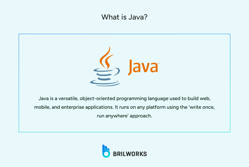 What_is_Java_ 1752064480899