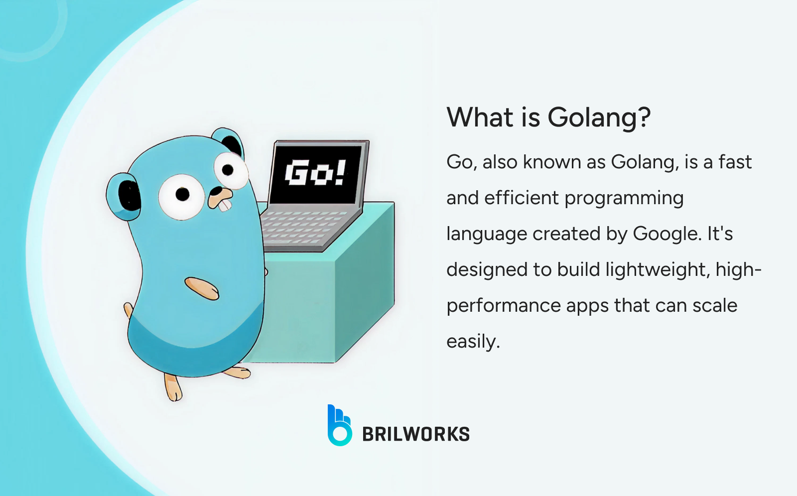 What Is Golang